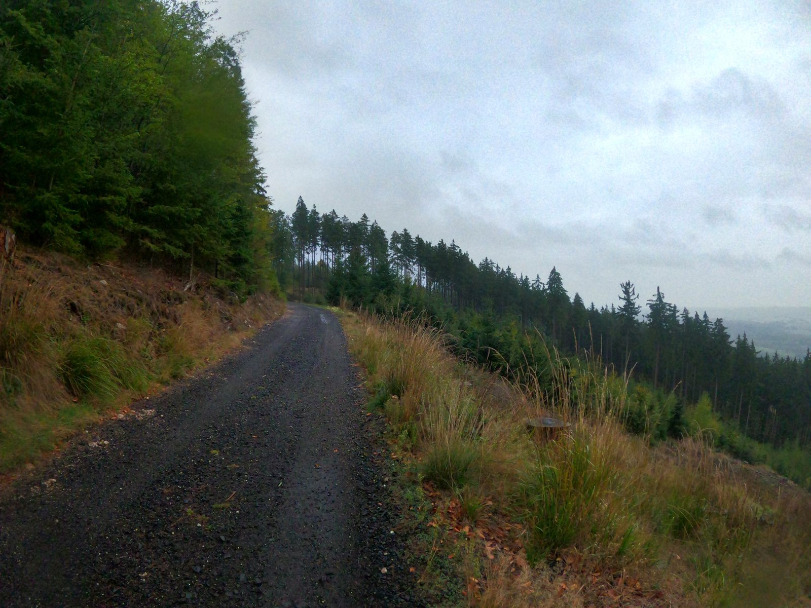foto_1