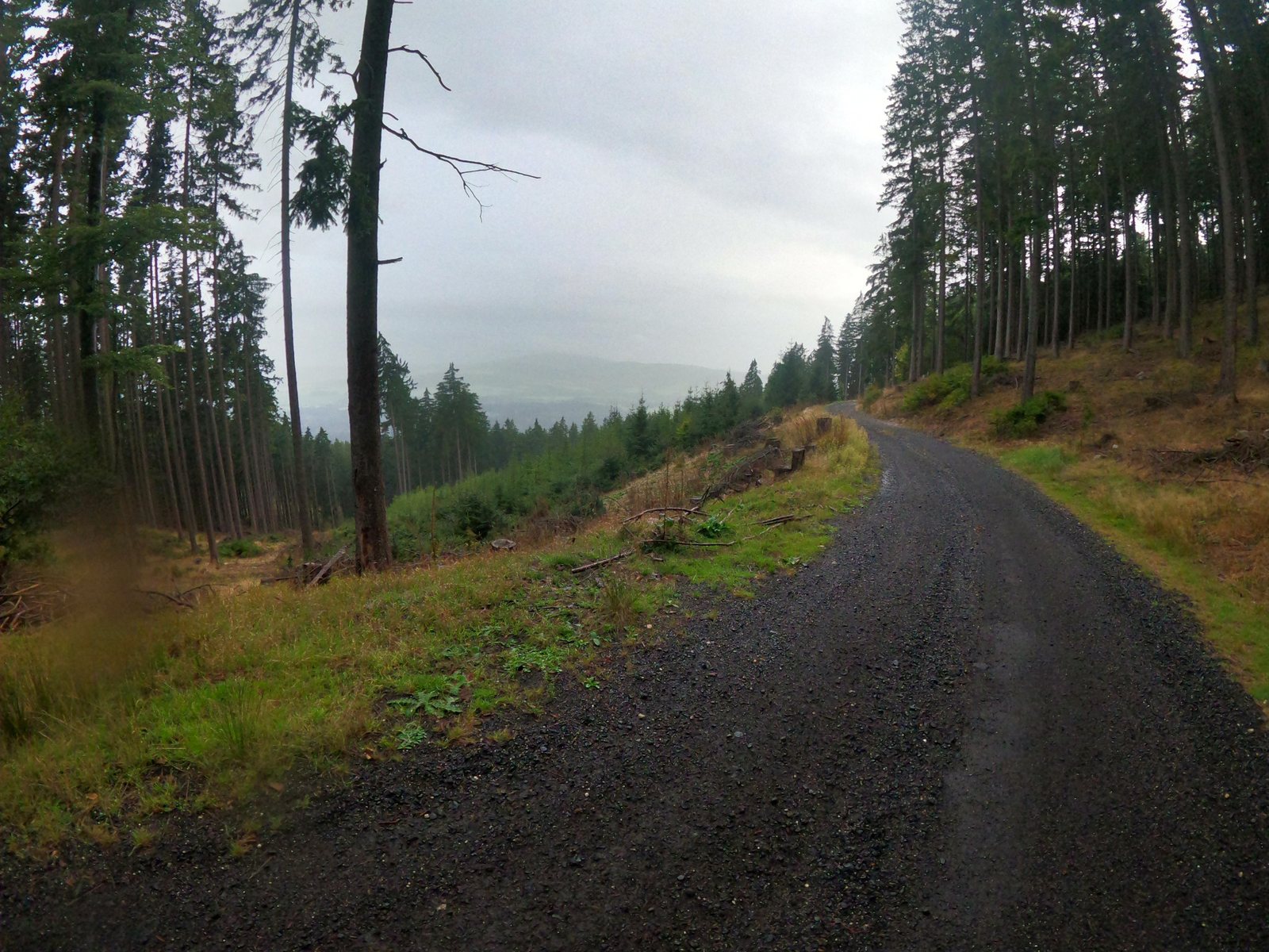 foto_2