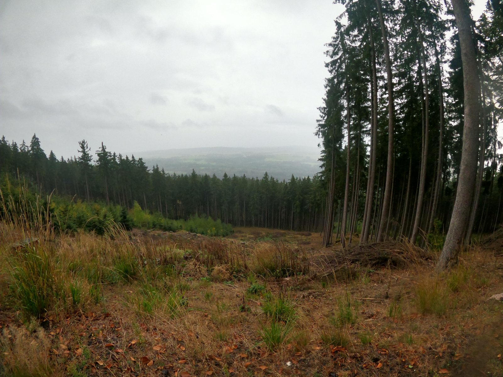 foto_3